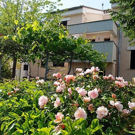 Apartman Adrijana Kastav, Free Wifi & Parking, 2 Bedrooms & Sea View Dış mekan fotoğraf