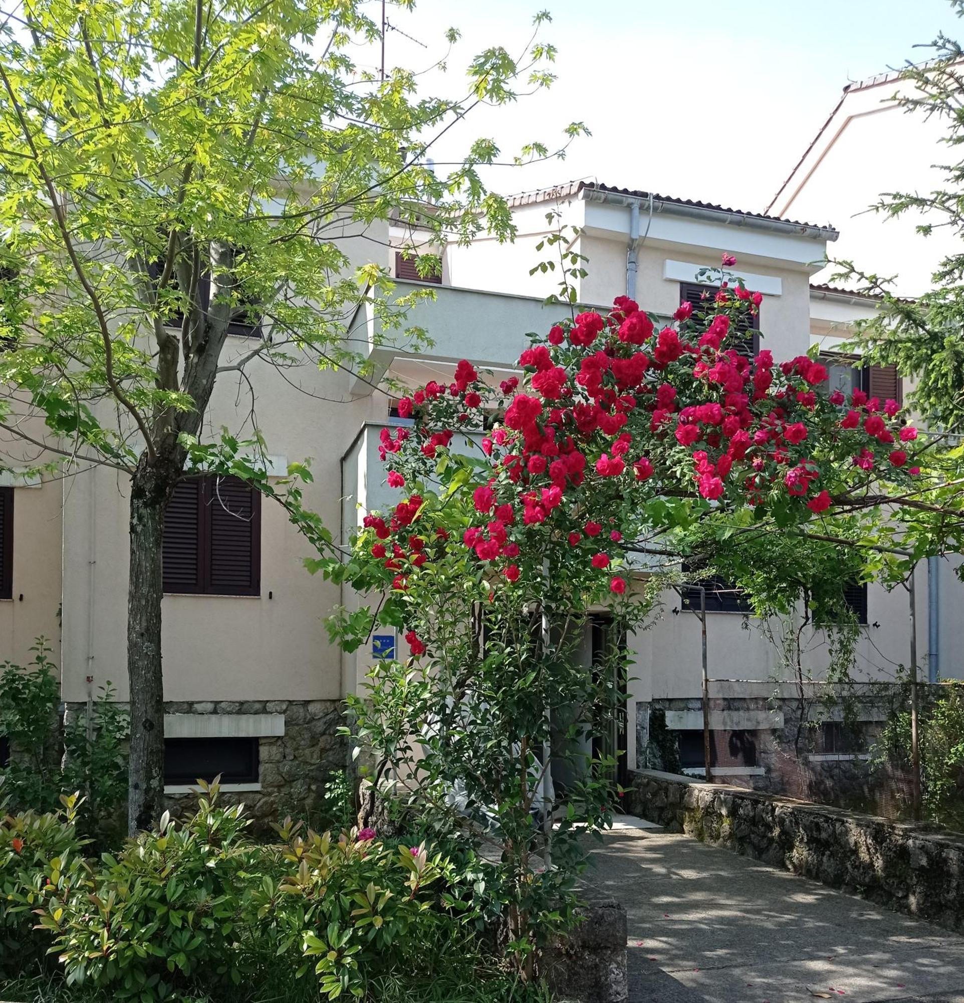 Apartman Adrijana Kastav, Free Wifi & Parking, 2 Bedrooms & Sea View Dış mekan fotoğraf